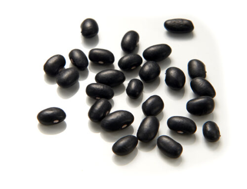 Black Beans