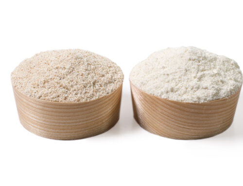 Wholegrain & White Farro Dicocco [Emmer] & Monococco [Einkorn Wheat] Flour