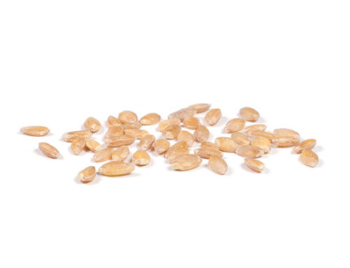 Hulled Farro Monococco [Einkorn wheat]