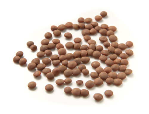 Brown Lentils