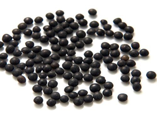 Black Lentils