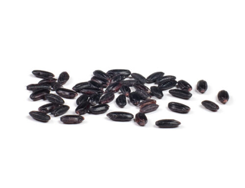 Black Rice