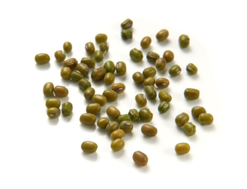 Green Mung Beans